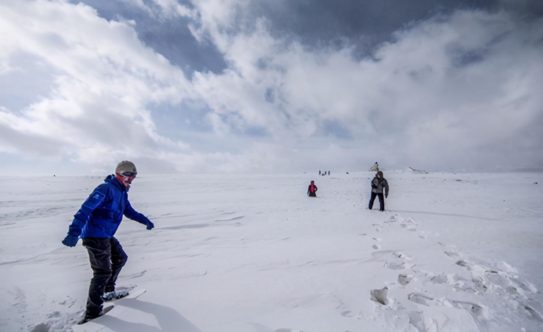 净土天峻,净土天峻高原牧场图片