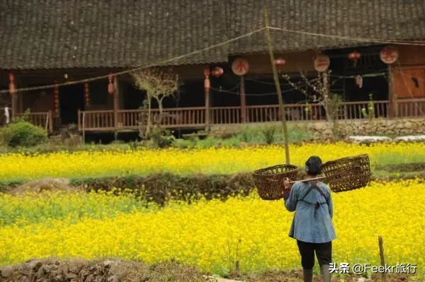 全球最大樱花基地原来就藏在贵州！万亩花海通到湖，机票低至2折