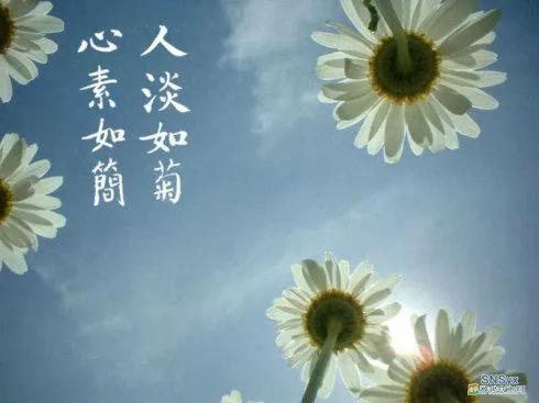 把酒祝东风且共从容,把酒祝东风且共从容完整版