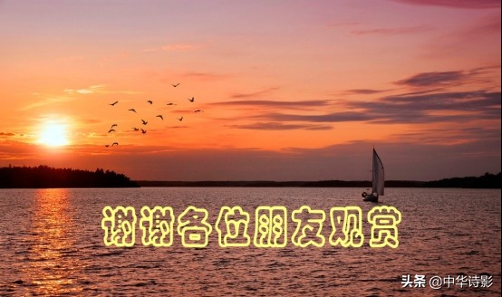 中华诗影大课堂,中华诗影艺术