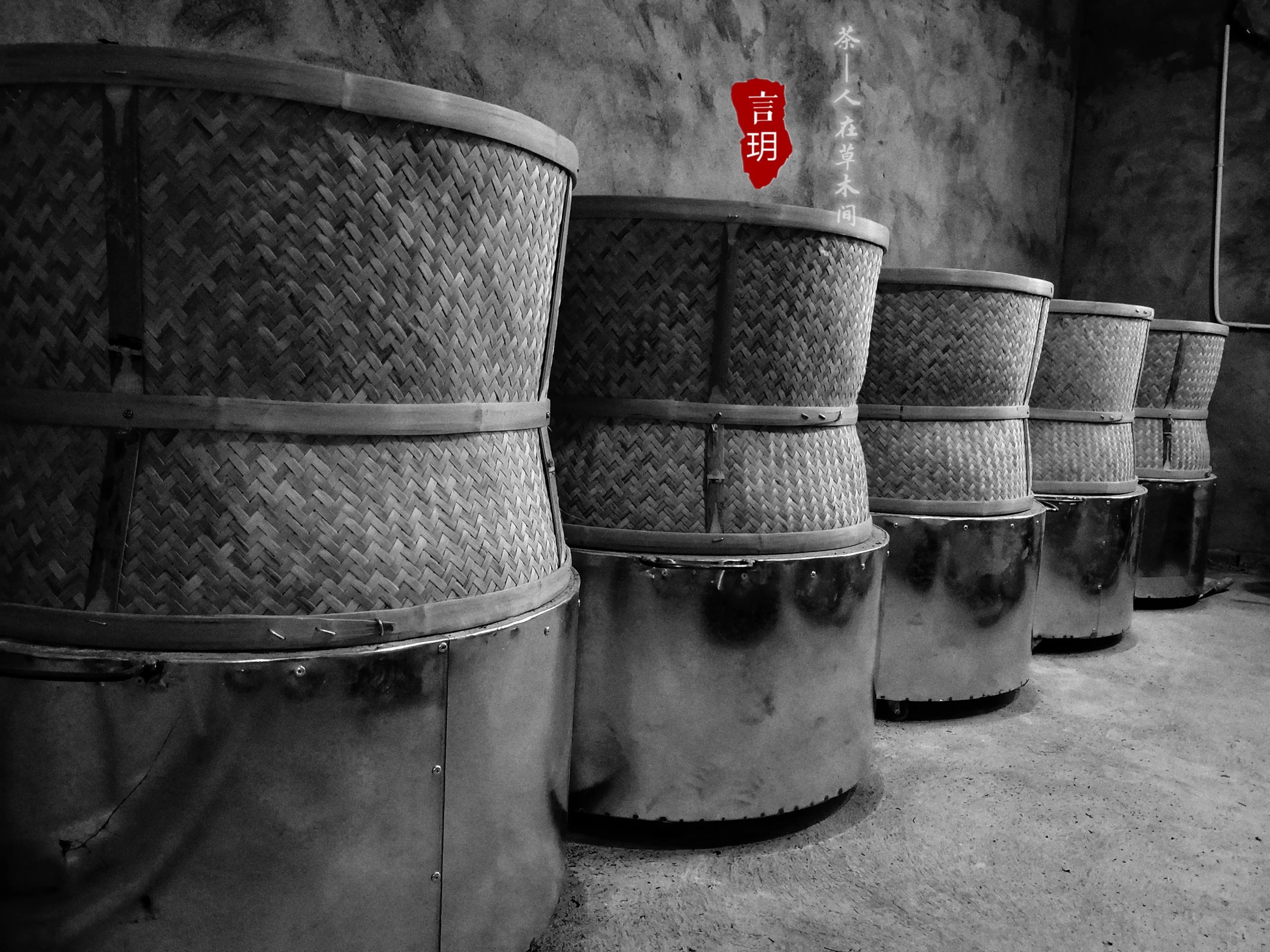 6种品质好茶肉桂,高山肉桂岩茶