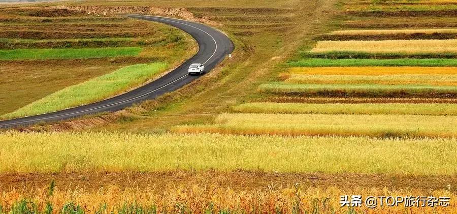 禁闭了半年多的“中国66号公路”，终于在6月开放！没去过不好意思称老司机