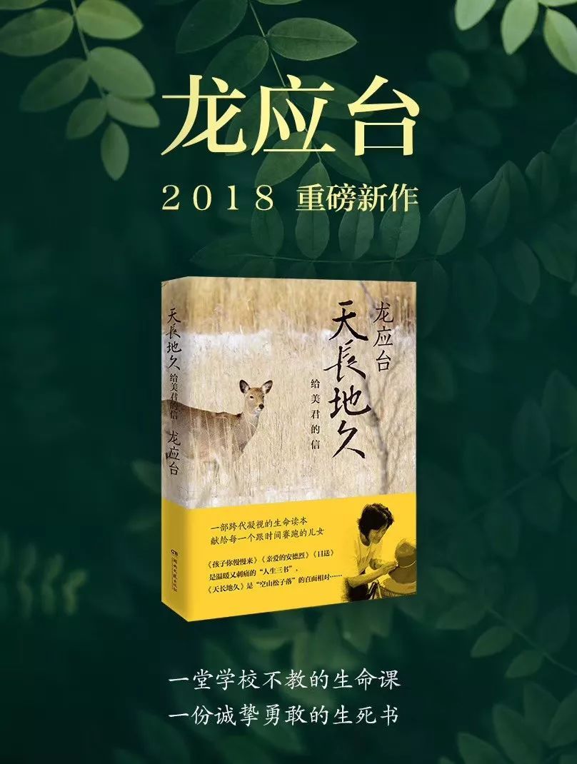 一起品读美术鉴赏,一起品读国学