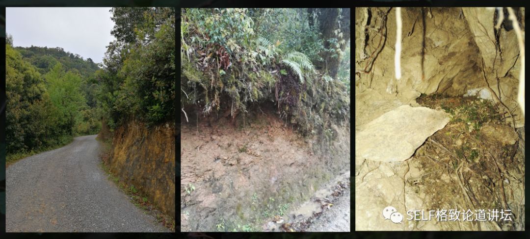 科学家如何观察植物,鸟类的研究方法