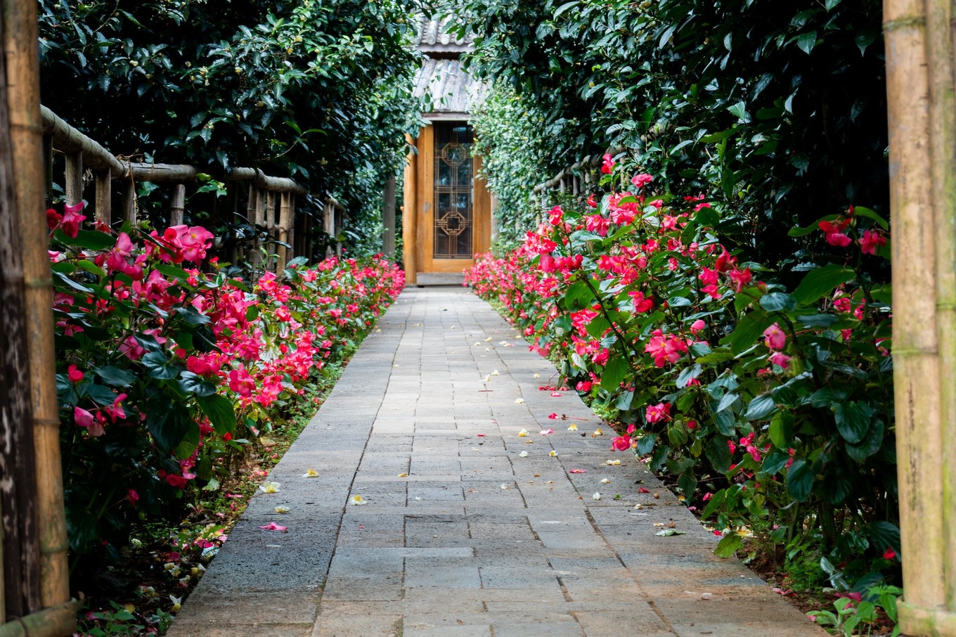 云南腾冲9月旅游攻略,云南腾冲旅游攻略秋天