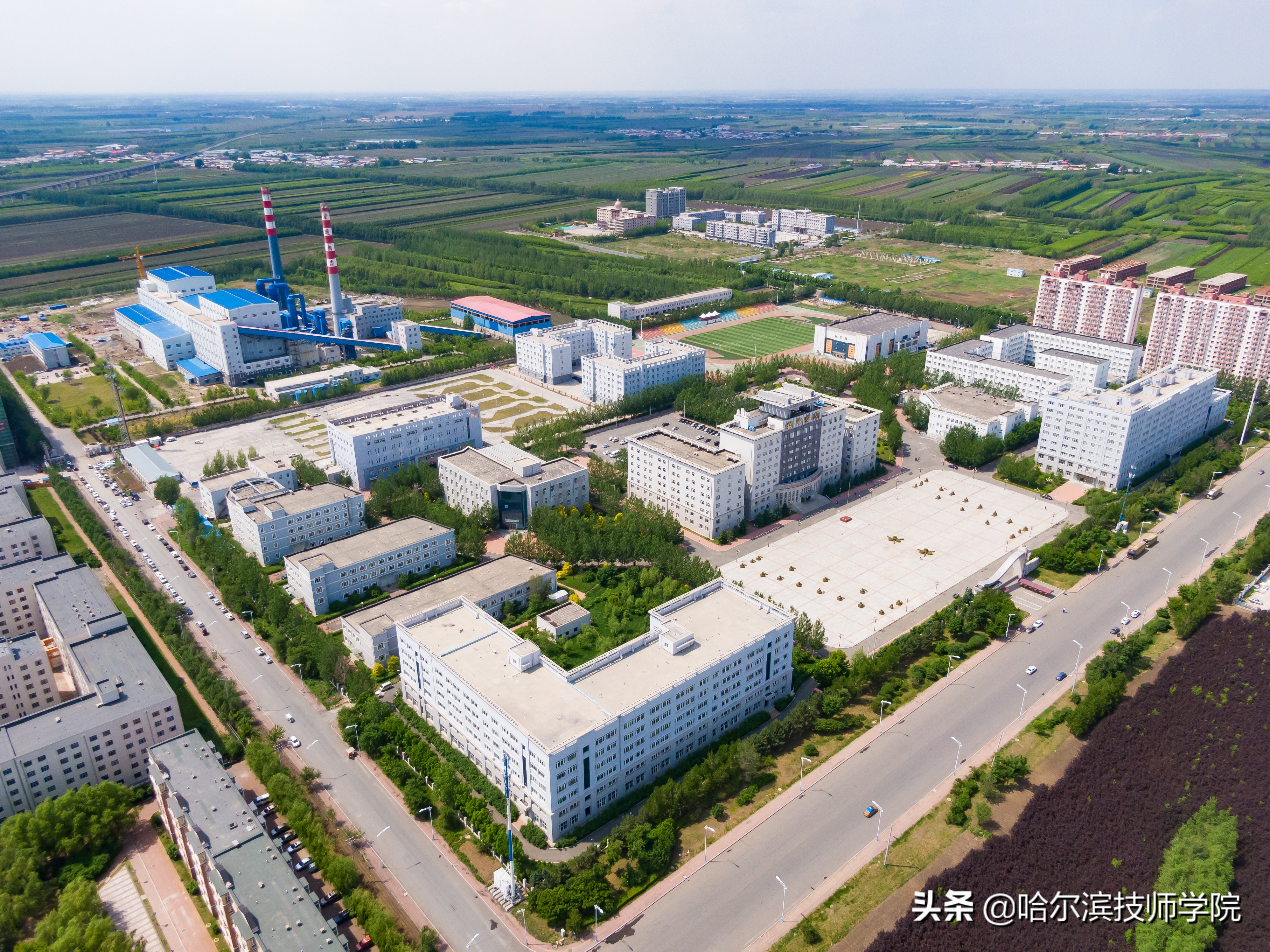 技能成就出彩人生演讲稿,技能成就出彩人生