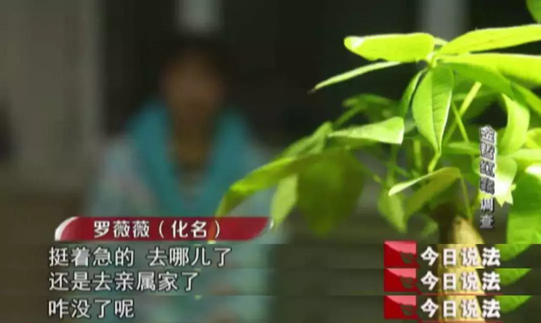 今日说法金哲宏冤案始末,金哲红案最新消息