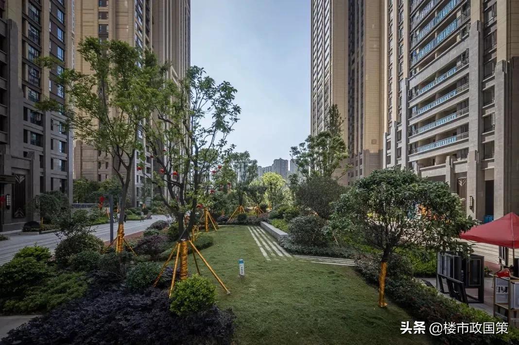 大武汉一起看!三镇“合体”前夜,解放大道再一次为汉口“爆灯”