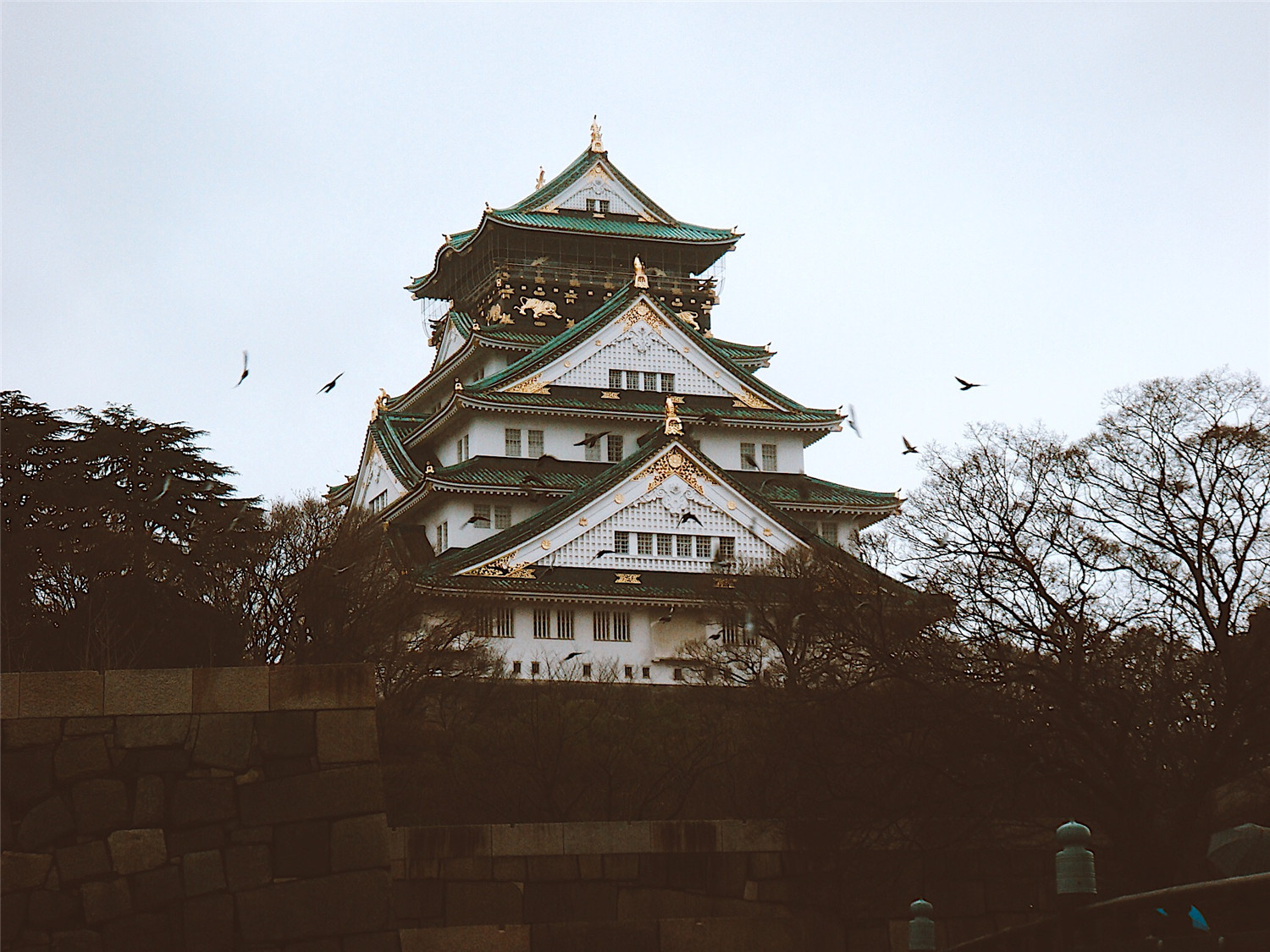 G20后大阪更好玩了!怎么订机票更省钱