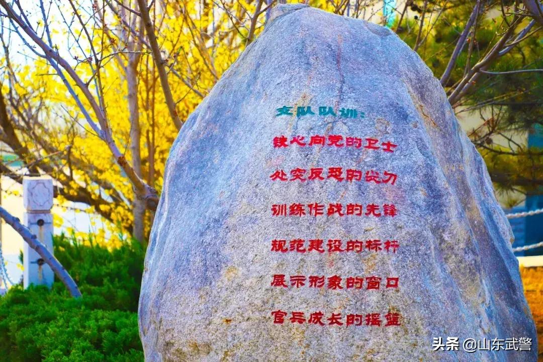 在军营的日子里,在军营里挥洒青春和汗水