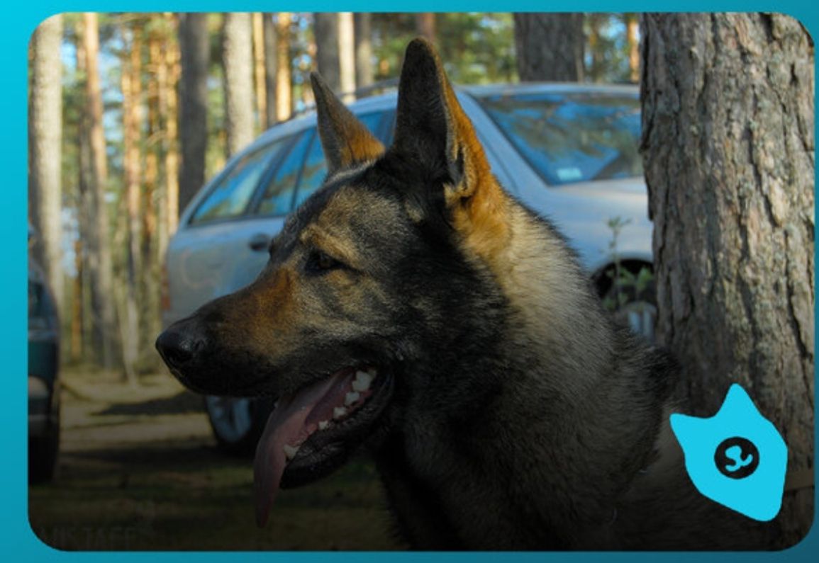 俄罗斯最著名的十大雕塑是,俄罗斯最著名的十大建筑物