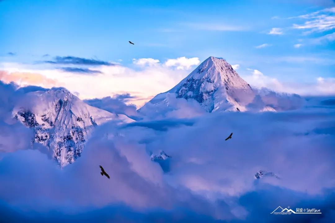 快准狠！超广角灯泡头+M15，轻轻松松拍大片