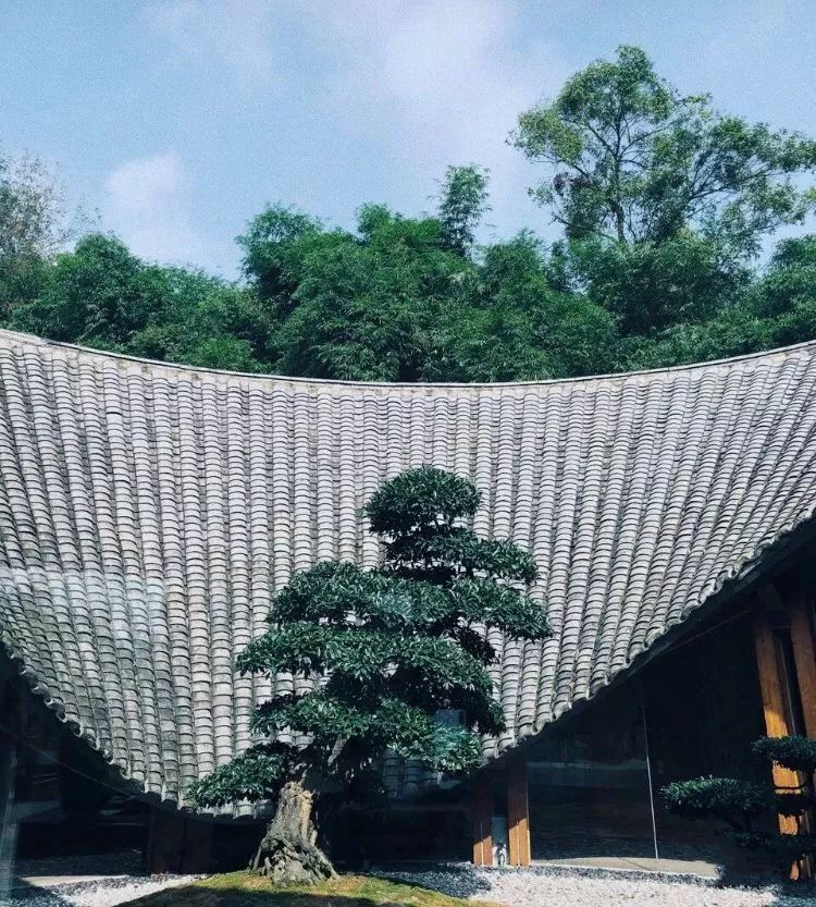 成都出发，一路向西的“旅行列车”年底开通！沿途好多……