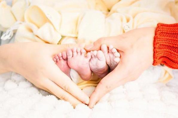 谢娜和刘烨在一起几年,谢娜和刘烨在一起时几岁