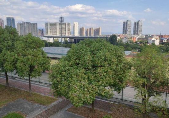 义乌工商职业技术学院创意园,义乌工商职业技术学院难考吗