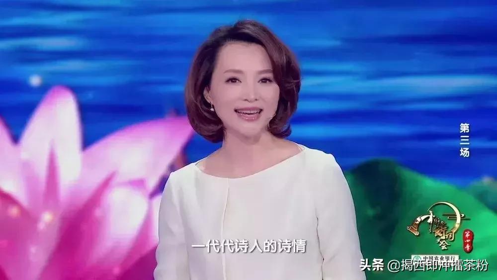 董卿关于四季诗词的开场词,董卿演讲的中国诗词开场诗