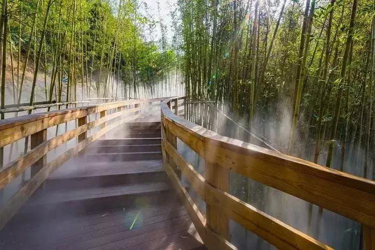 羊台山风景视频大全,深圳羊台山哪里风景最好