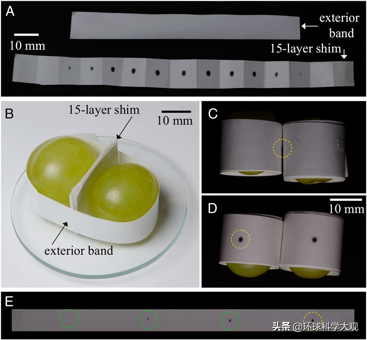 微波炉加热葡萄爆炸,葡萄进微波炉加热会爆炸是真的吗