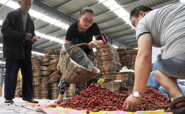 价格“三连跌”，比进口便宜3倍，却卖不过进口，网友：人傻钱多