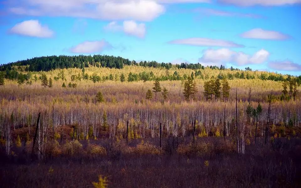 中国最美的51个地方，你去过几个？