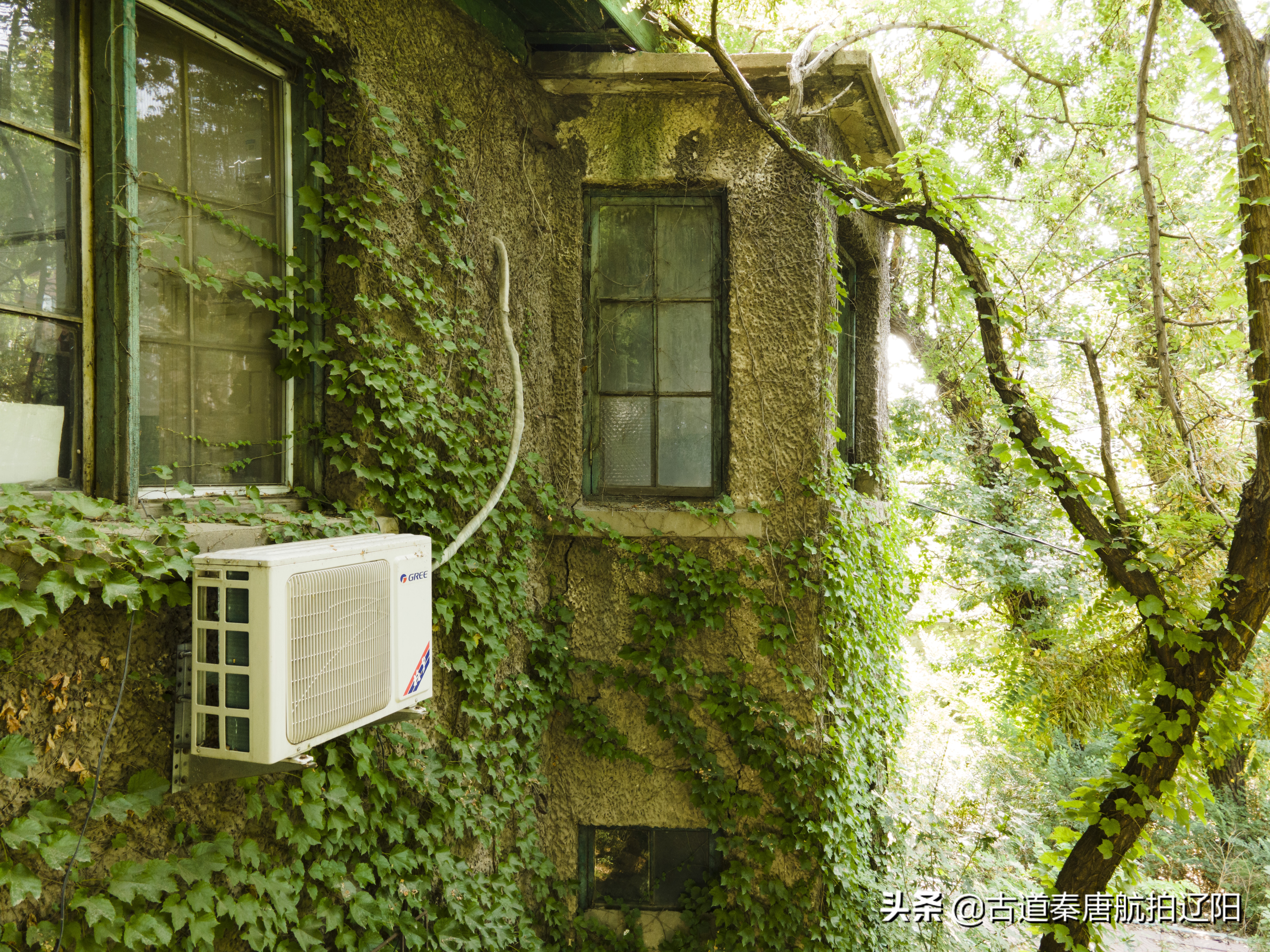 辽阳有什么老建筑,辽阳有哪些废弃医院