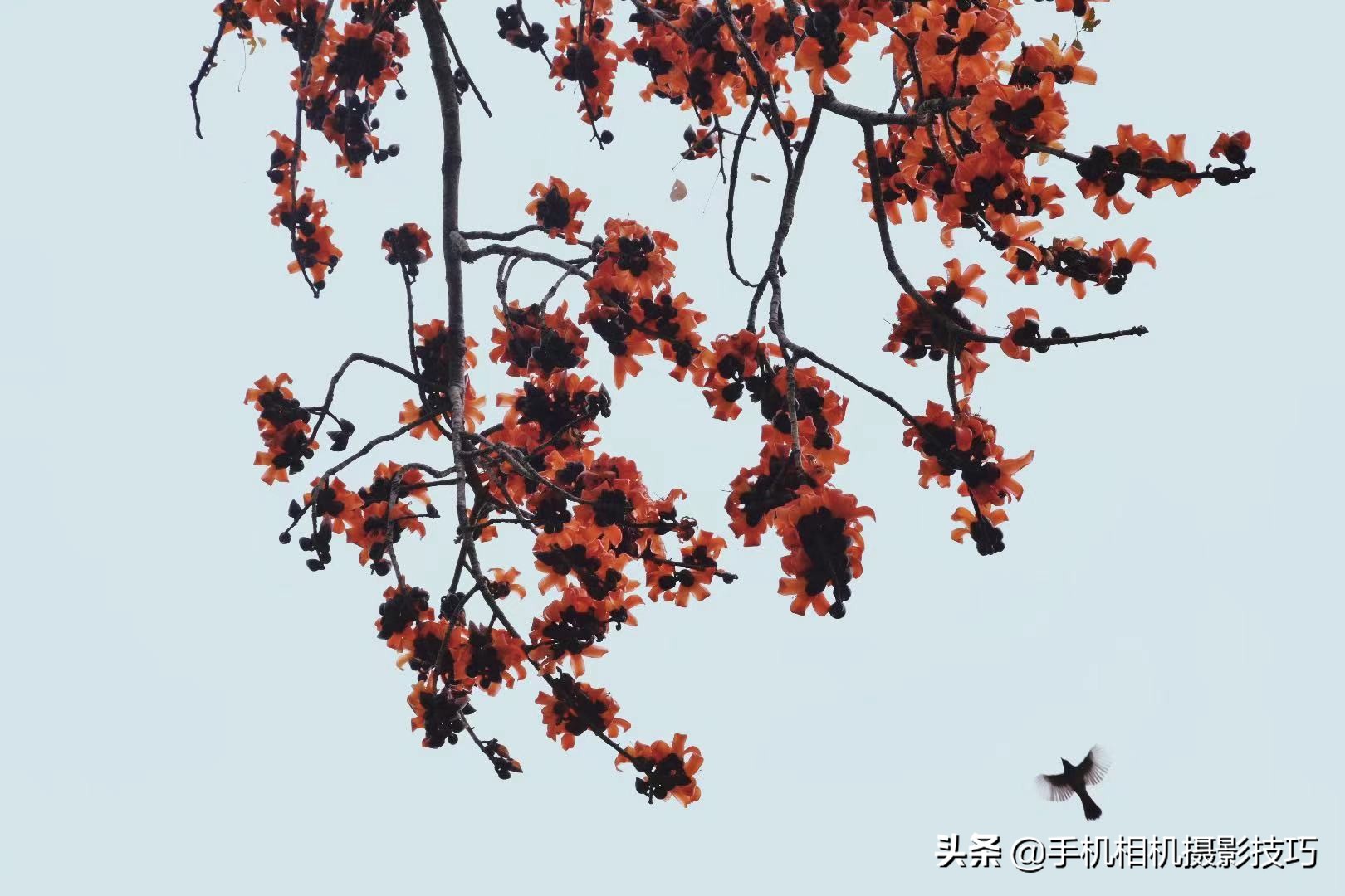 帮助大家拍出满意的照片春节,20张同一个人的照片男生