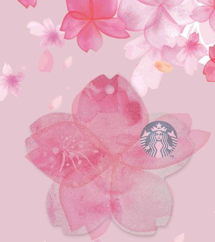 星巴克爆款猫爪杯组合,星巴克杯最值得收藏的系列