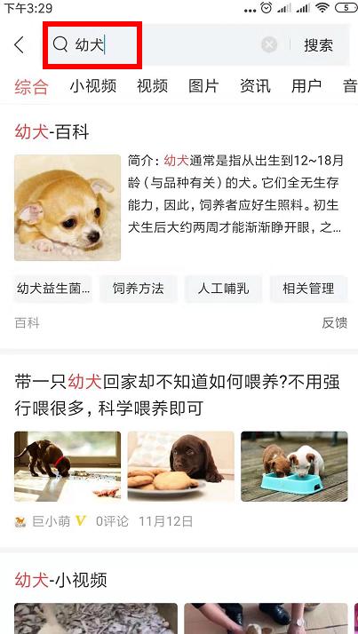 超级可爱呆萌的小奶狗,全种类小奶狗超萌合集