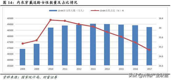 女士内衣网络市场分析,内衣行业与市场监测报告