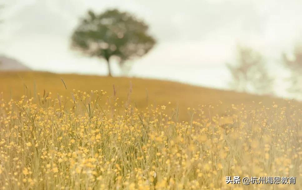 亲子关系疏远的真相,亲子之间的冷漠与关怀