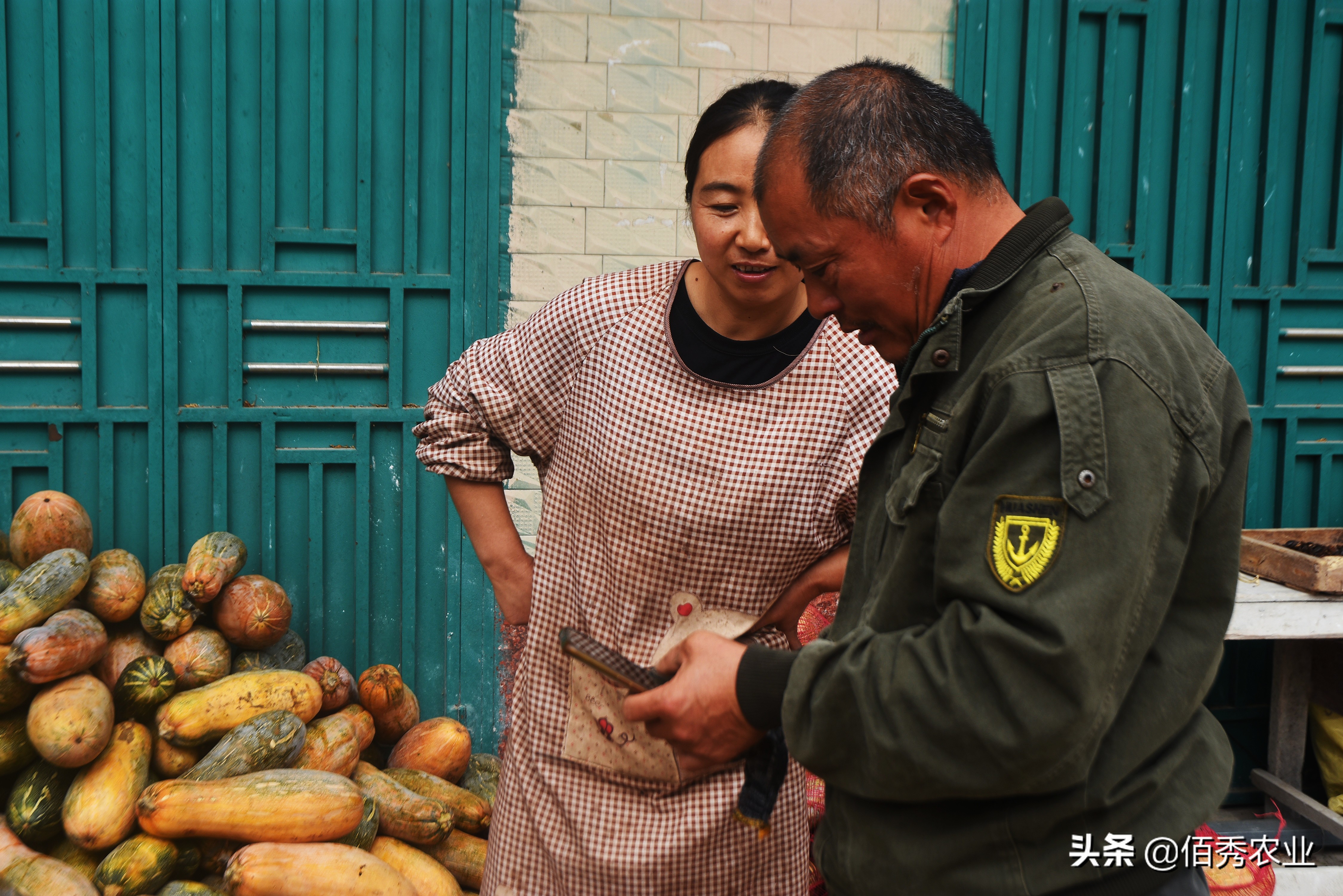 闲不住的农家女,留守妇女在农村种什么赚钱