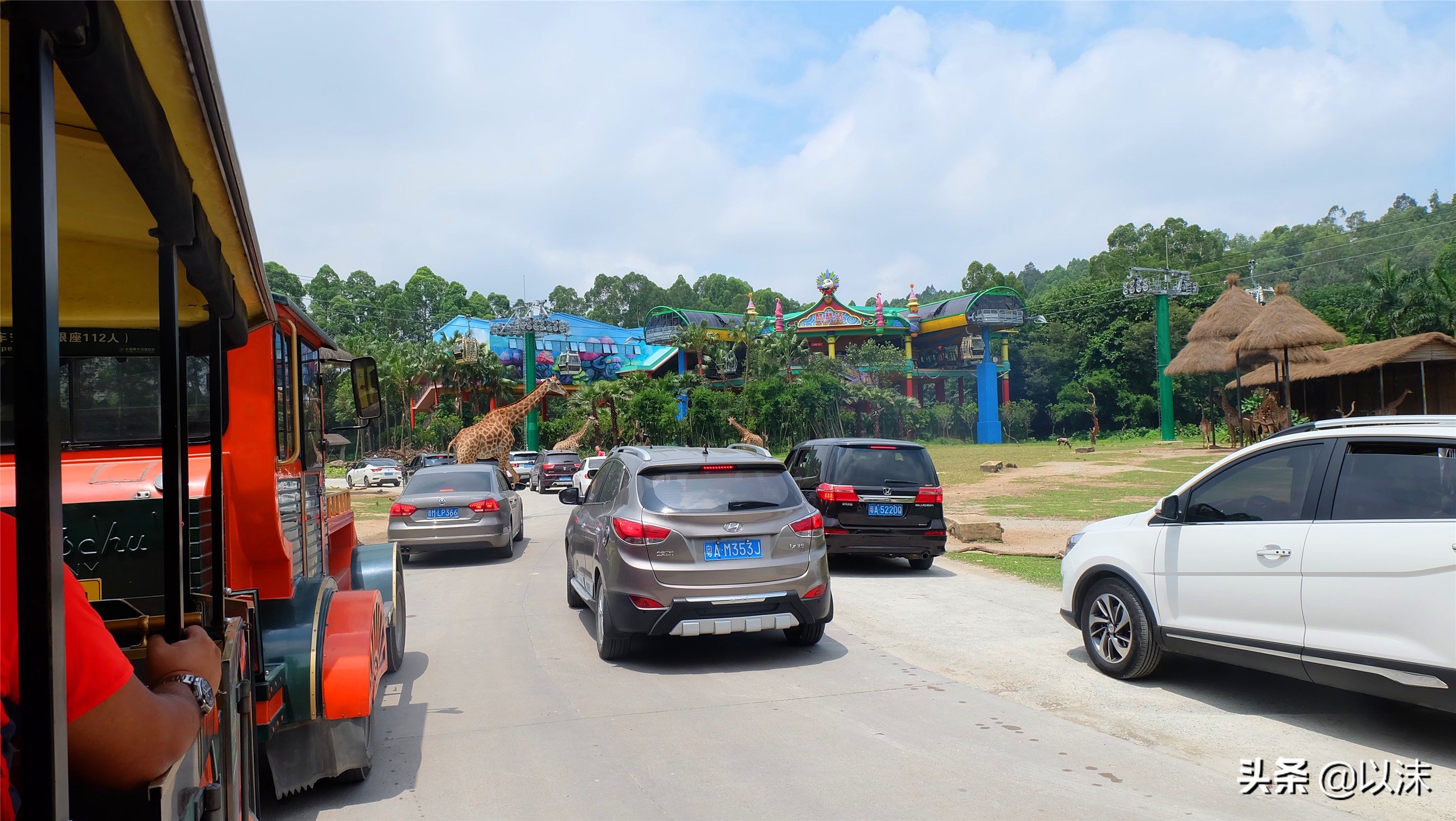 长隆野生动物世界游玩攻略,长隆野生动物世界带娃攻略