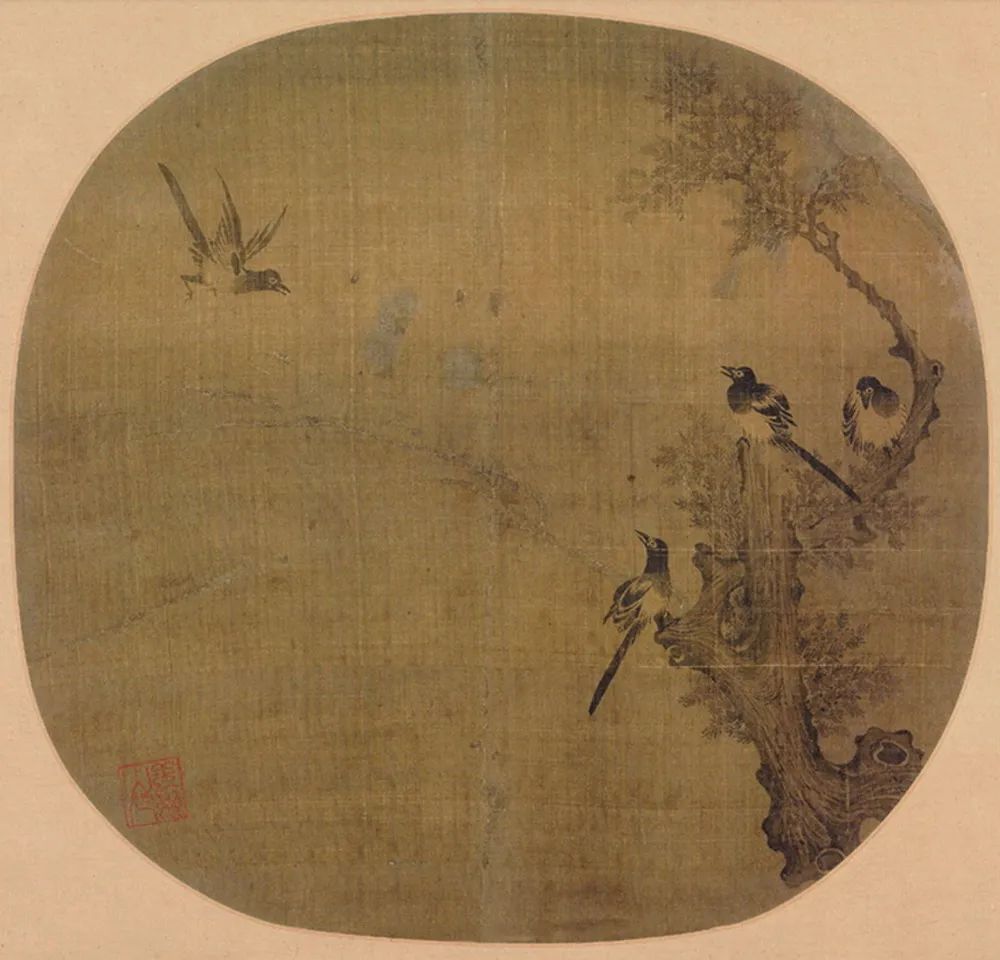 慢慢学花鸟｜这胖胖的哑嗓大黑鸟怎么成了“喜”鹊？