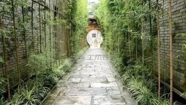 院子风景真美,中国人的院子