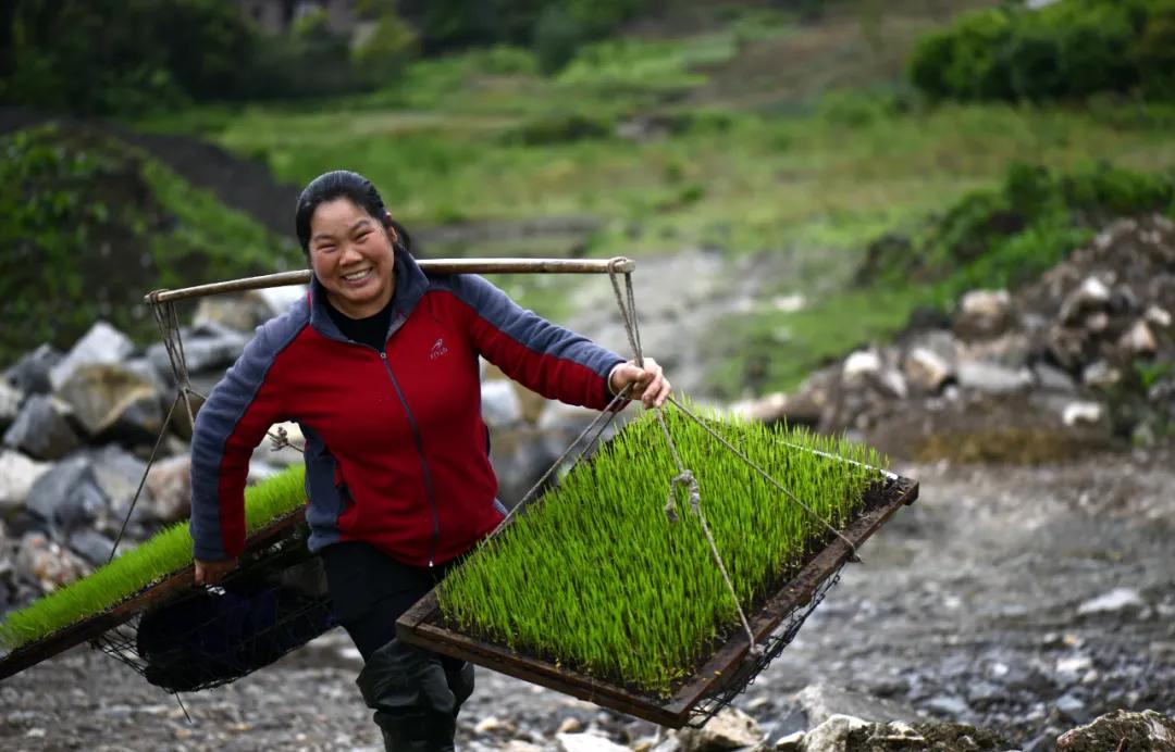 关于春日谷雨诗句,在谷雨诗词中留住最后一抹春色