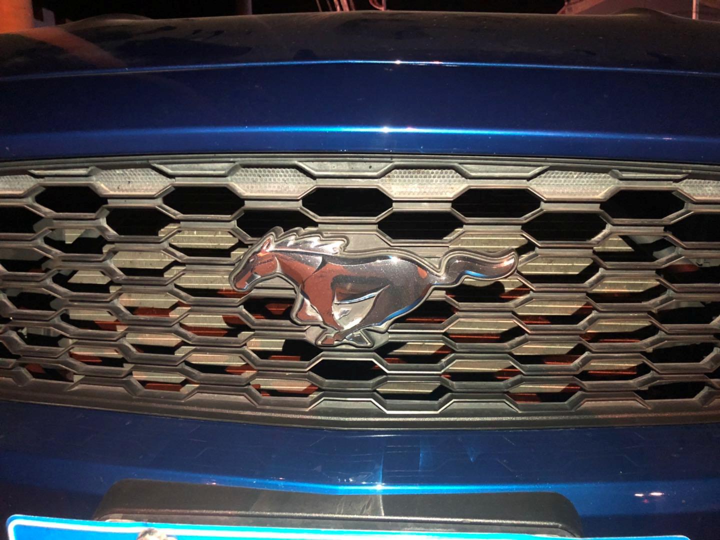 野马还是野驴,野马2.3t小野驴