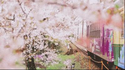 太美了开往春天的列车,这些开往春天的列车简直美呆了
