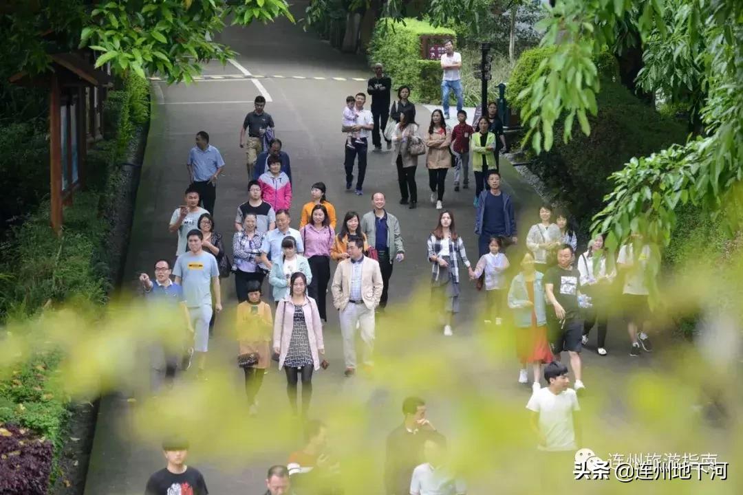 五一来广东旅游的人,五一去连州