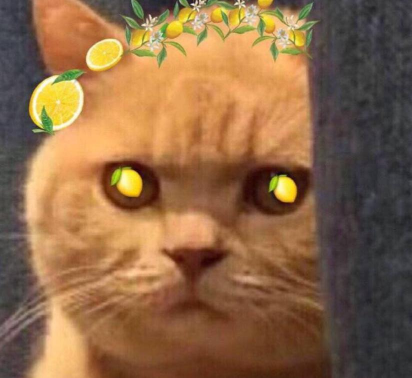 几十万豪华别墅,十几亿的顶级豪宅