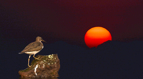 坚强的姥姥知乎,坚强的外婆作文