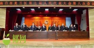 海口2022年改造项目批复,海口9个项目列入城市更新试点