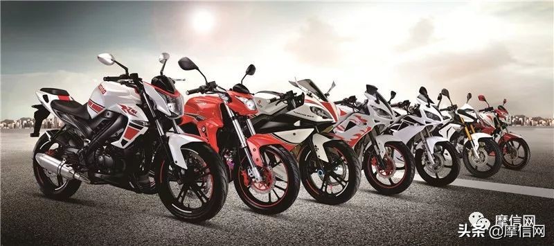 2018中国摩托白皮书（中）