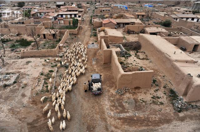 一战时期的要塞是用什么修的,战争史最垃圾的防线