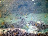 开渔场赚钱吗,开渔场需要多少资金