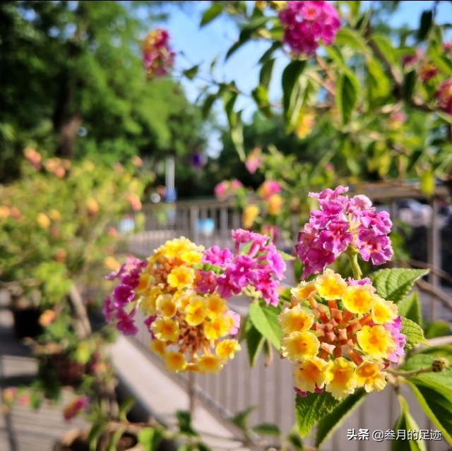 京郊古寺攻略,京郊古寺