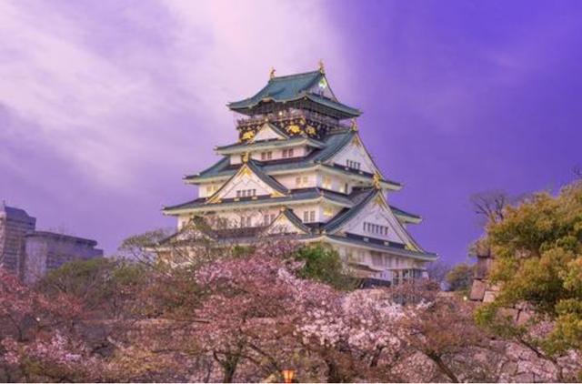 日本旅游购买什么刮胡刀,去日本必买的三样东西