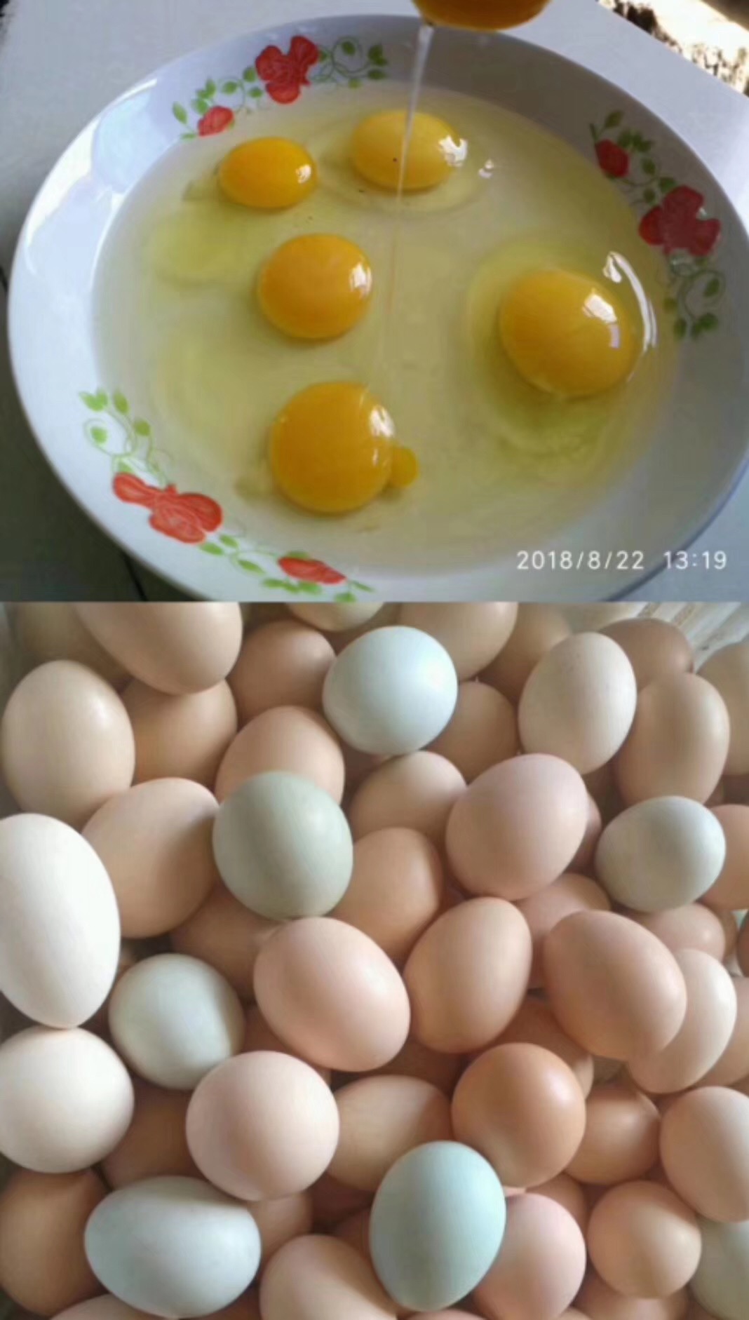 养殖2000只土鸡的成本与利润,养殖土鸡投资知识