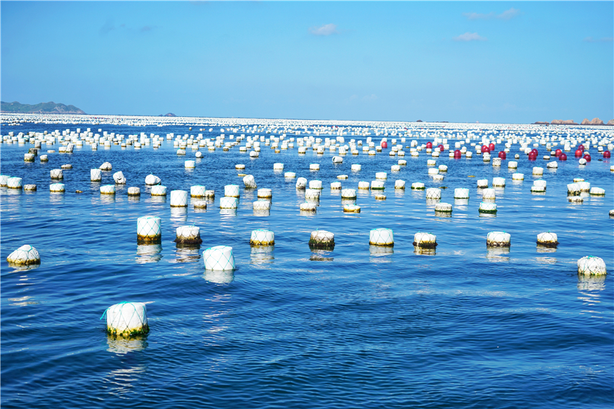 嵊泗列岛海岛推荐,嵊泗岛哪里海景最美