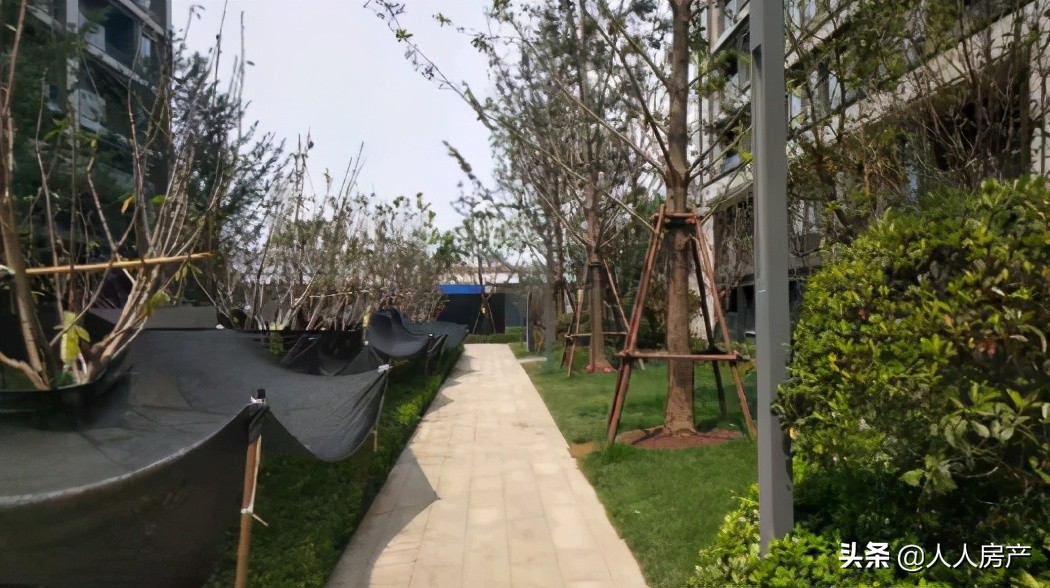 “网红”盘正弘府，没有惊喜，诸多遗憾