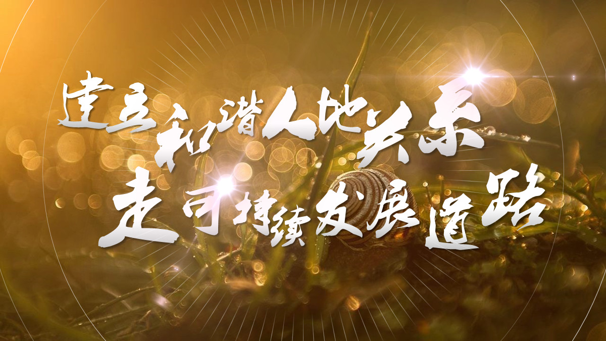 「课件类PPT」怎么做才好看?我修改了6页PPT,总结了7个技巧